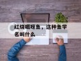 红烧噶呀鱼，这种鱼学名叫什么