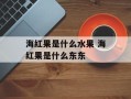 海红果是什么水果 海红果是什么东东