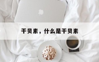 干贝素，什么是干贝素