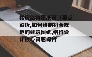 楼房结构图纸设计要点解析,如何绘制符合规范的建筑图纸,结构设计核心问题探讨