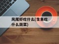 凤尾虾吃什么(生鱼吃什么蔬菜)