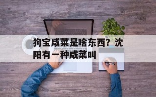 狗宝咸菜是啥东西？沈阳有一种咸菜叫