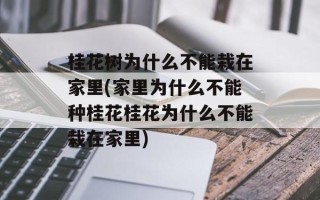 桂花树为什么不能栽在家里(家里为什么不能种桂花桂花为什么不能栽在家里)