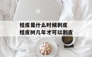 桂皮是什么时候剥皮 桂皮树几年才可以剥皮