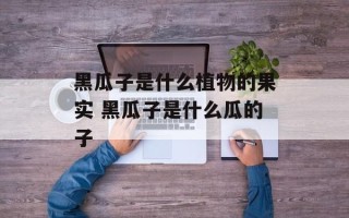 黑瓜子是什么植物的果实 黑瓜子是什么瓜的子