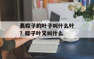 裹粽子的叶子叫什么叶？粽子叶又叫什么