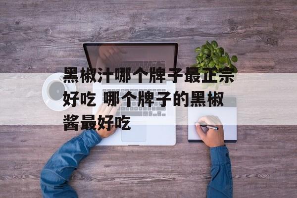 黑椒汁哪个牌子最正宗好吃 哪个牌子的黑椒酱最好吃-第1张图片-