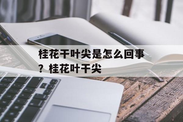 桂花干叶尖是怎么回事？桂花叶干尖-第1张图片-