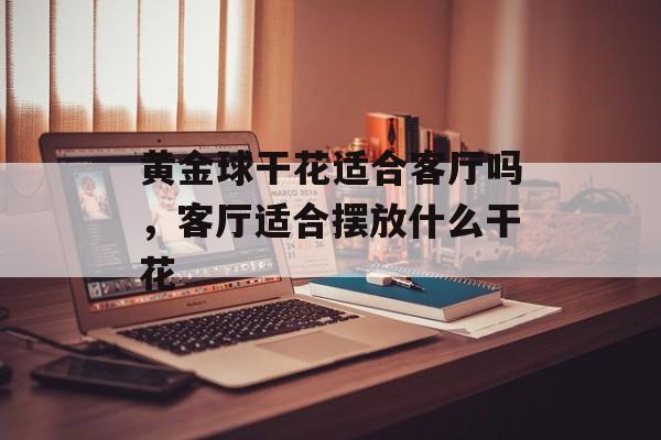 黄金球干花适合客厅吗，客厅适合摆放什么干花-第1张图片-