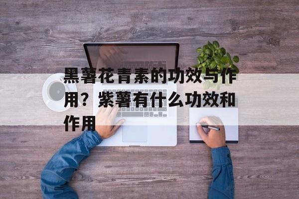 黑薯花青素的功效与作用？紫薯有什么功效和作用-第1张图片-