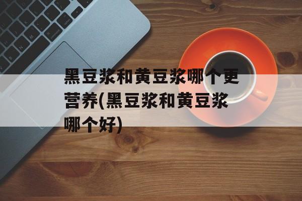 黑豆浆和黄豆浆哪个更营养(黑豆浆和黄豆浆哪个好)-第1张图片-