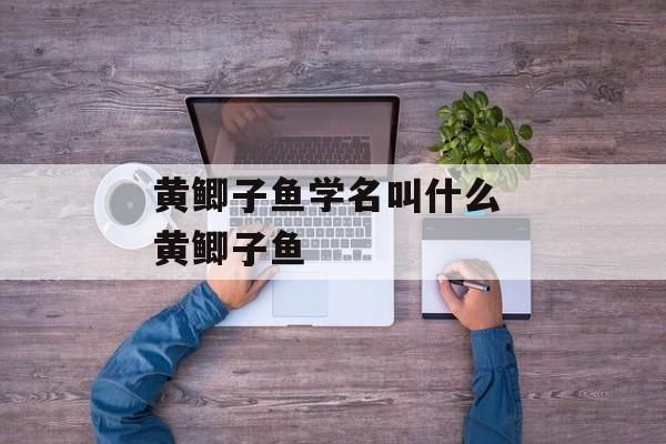 黄鲫子鱼学名叫什么 黄鲫子鱼-第1张图片-