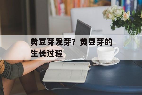 黄豆芽发芽？黄豆芽的生长过程-第1张图片-