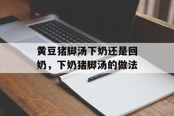 黄豆猪脚汤下奶还是回奶，下奶猪脚汤的做法-第1张图片-