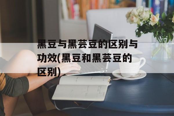 黑豆与黑芸豆的区别与功效(黑豆和黑芸豆的区别)-第1张图片-