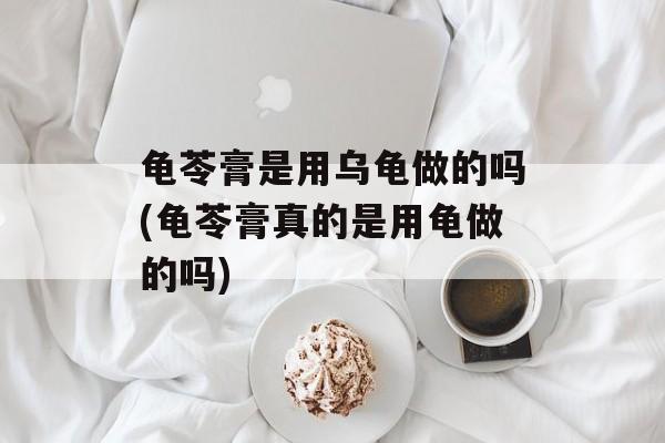 龟苓膏是用乌龟做的吗(龟苓膏真的是用龟做的吗)-第1张图片-
