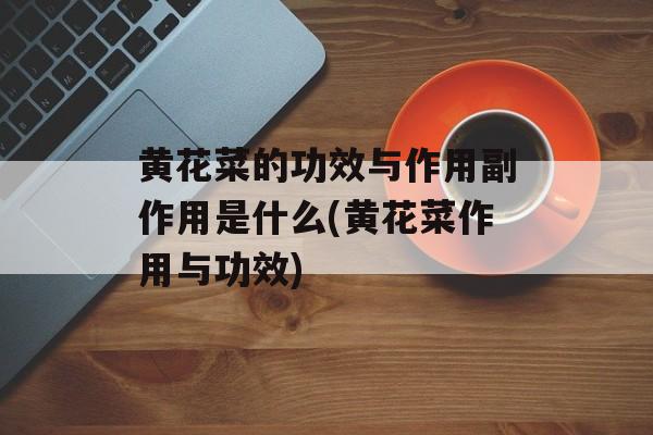 黄花菜的功效与作用副作用是什么(黄花菜作用与功效)-第1张图片-