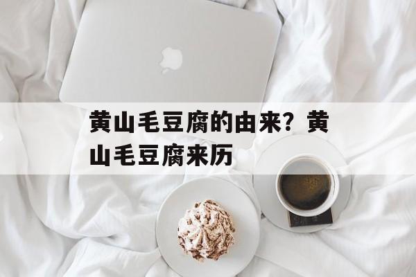 黄山毛豆腐的由来？黄山毛豆腐来历-第1张图片-