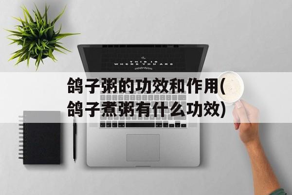鸽子粥的功效和作用(鸽子煮粥有什么功效)-第1张图片-