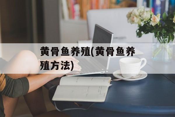 黄骨鱼养殖(黄骨鱼养殖方法)-第1张图片-