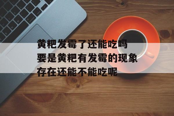 黄粑发霉了还能吃吗 要是黄粑有发霉的现象存在还能不能吃呢-第1张图片-