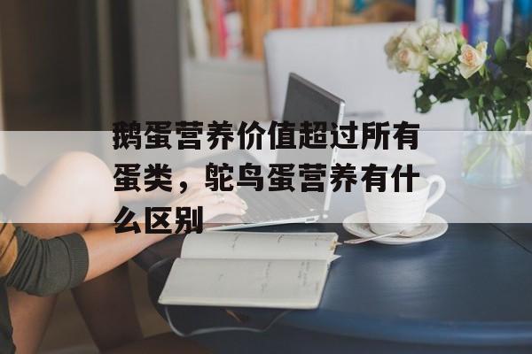 鹅蛋营养价值超过所有蛋类，鸵鸟蛋营养有什么区别-第1张图片-