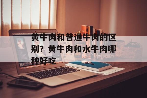 黄牛肉和普通牛肉的区别？黄牛肉和水牛肉哪种好吃-第1张图片-