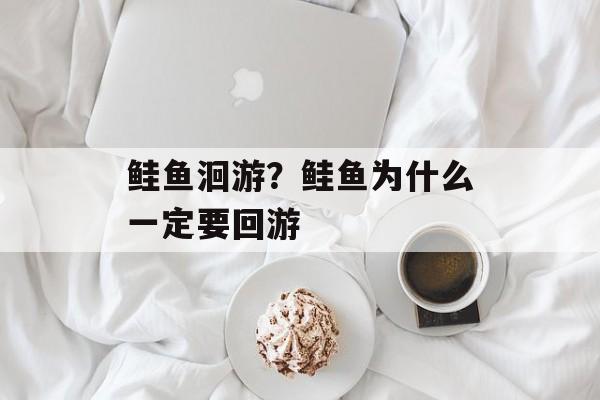 鲑鱼洄游？鲑鱼为什么一定要回游-第1张图片-