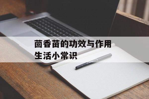 茴香苗的功效与作用 生活小常识-第1张图片-