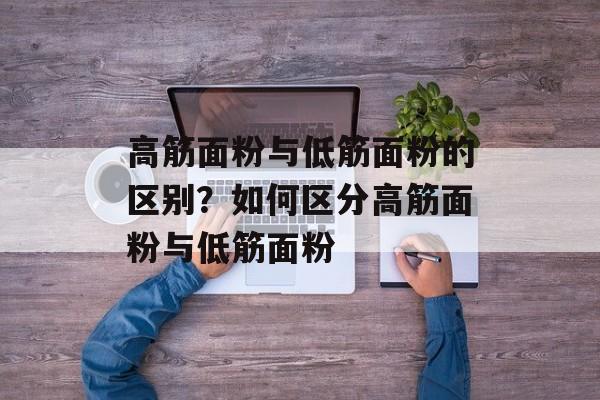 高筋面粉与低筋面粉的区别？如何区分高筋面粉与低筋面粉-第1张图片-