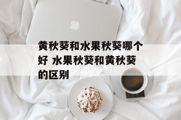 黄秋葵和水果秋葵哪个好 水果秋葵和黄秋葵的区别-第1张图片-