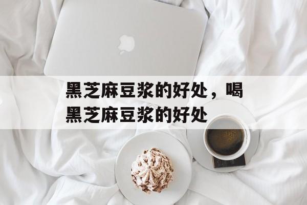 黑芝麻豆浆的好处，喝黑芝麻豆浆的好处-第1张图片-
