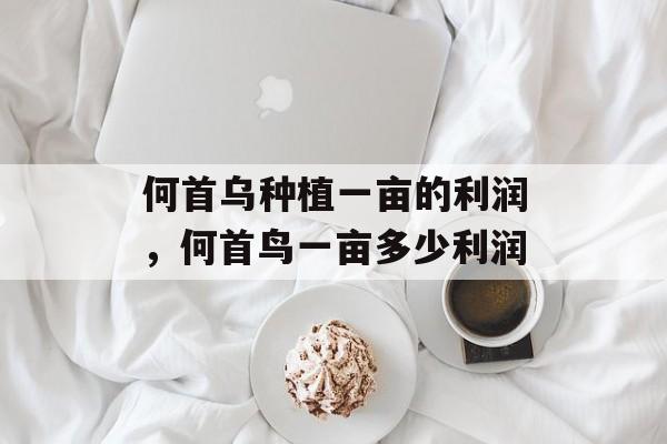 何首乌种植一亩的利润，何首鸟一亩多少利润-第1张图片-