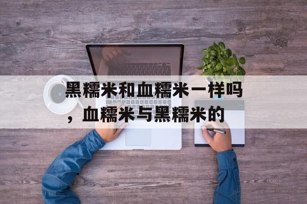 黑糯米和血糯米一样吗，血糯米与黑糯米的-第1张图片-