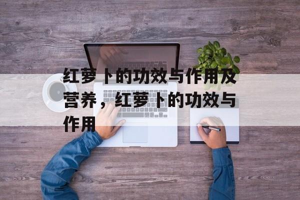 红萝卜的功效与作用及营养，红萝卜的功效与作用-第1张图片-