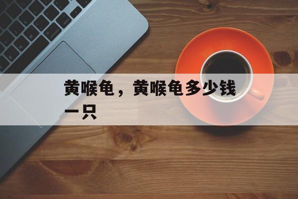 黄喉龟，黄喉龟多少钱一只-第1张图片-