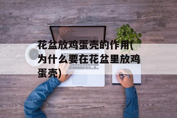 花盆放鸡蛋壳的作用(为什么要在花盆里放鸡蛋壳)-第1张图片-