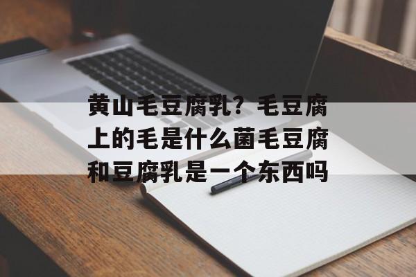 黄山毛豆腐乳？毛豆腐上的毛是什么菌毛豆腐和豆腐乳是一个东西吗-第1张图片-