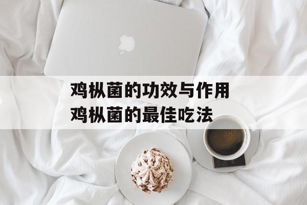 鸡枞菌的功效与作用 鸡枞菌的最佳吃法-第1张图片-