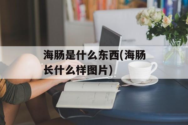 海肠是什么东西(海肠长什么样图片)-第1张图片-