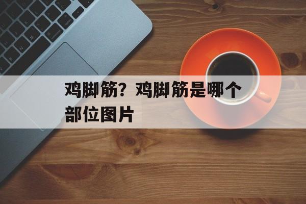 鸡脚筋？鸡脚筋是哪个部位图片-第1张图片-