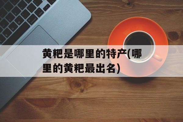 黄粑是哪里的特产(哪里的黄粑最出名)-第1张图片-