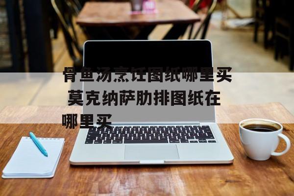 骨鱼汤烹饪图纸哪里买 莫克纳萨肋排图纸在哪里买-第1张图片-