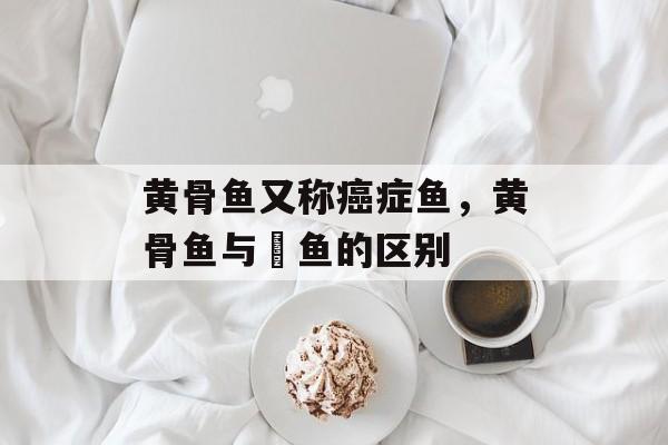 黄骨鱼又称癌症鱼，黄骨鱼与鮰鱼的区别-第1张图片-