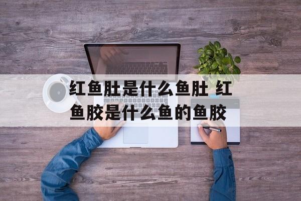 红鱼肚是什么鱼肚 红鱼胶是什么鱼的鱼胶-第1张图片-