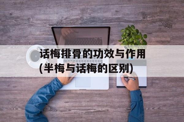 话梅排骨的功效与作用(半梅与话梅的区别)-第1张图片-