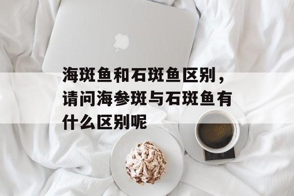 海斑鱼和石斑鱼区别，请问海参斑与石斑鱼有什么区别呢-第1张图片-