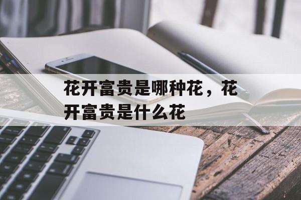 花开富贵是哪种花，花开富贵是什么花-第1张图片-