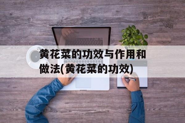 黄花菜的功效与作用和做法(黄花菜的功效)-第1张图片-