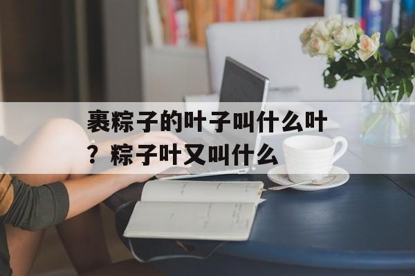 裹粽子的叶子叫什么叶？粽子叶又叫什么-第1张图片-